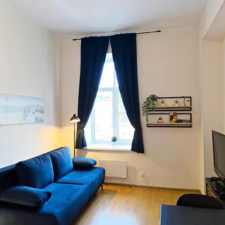 Studio, Fireplace, Super Location, Free Parking 公寓 *
