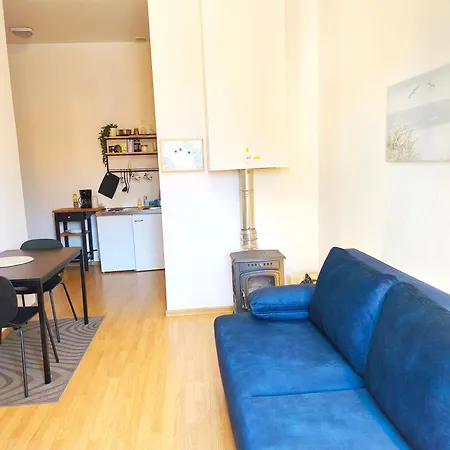 Studio, Fireplace, Super Location, Free Parking 公寓