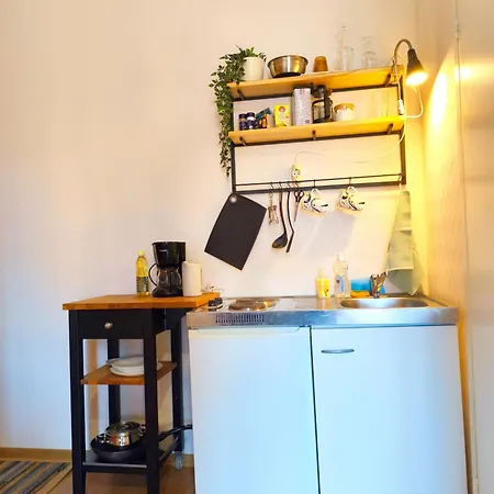 Studio, Fireplace, Super Location, Free Parking * 塔林